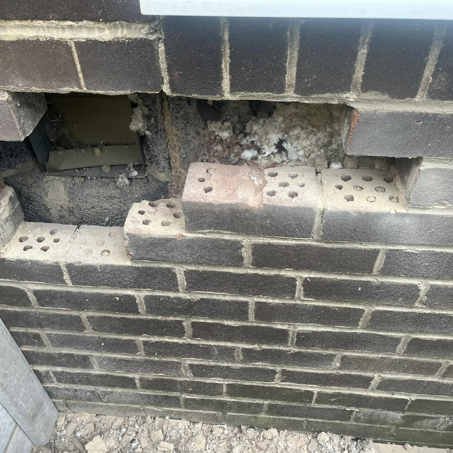 441954471_122132500274247719_8080461824403758028_n